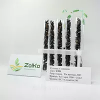 Семена кодитерского подсолнечника СПК PREMIUM ZOLKO 4,0 фракция